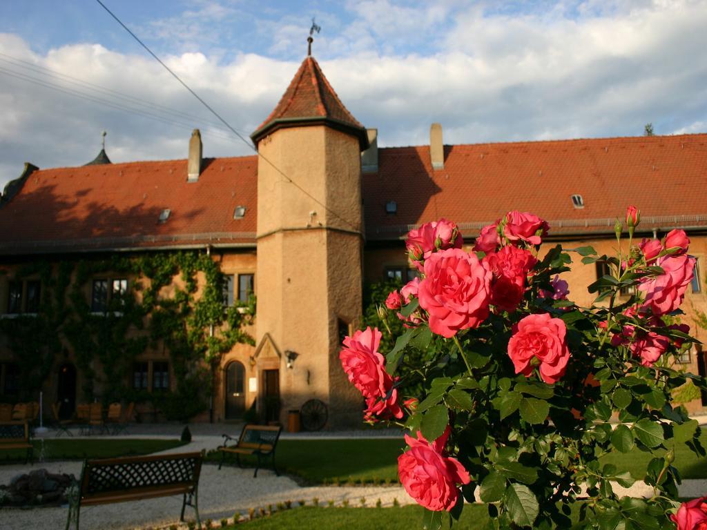 Worners Schloss Weingut & Wellness-Hotel Приксенштадт Экстерьер фото