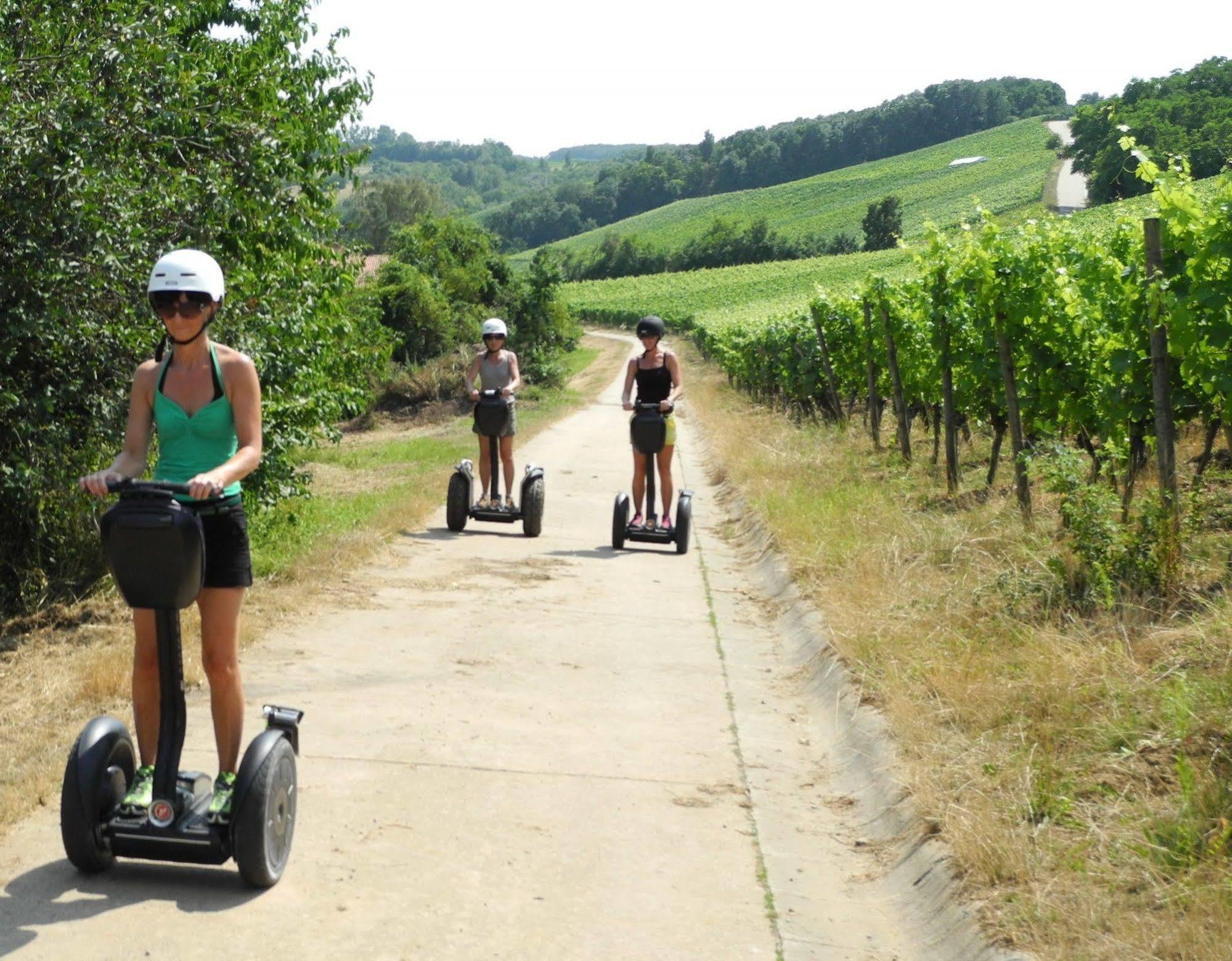 Worners Schloss Weingut & Wellness-Hotel Приксенштадт Экстерьер фото